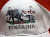 Tembo_Tanzania